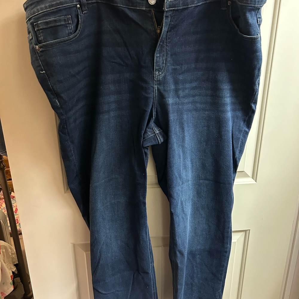 Lane Bryant Women’s Relaxed Fit Dark Blue Jeans